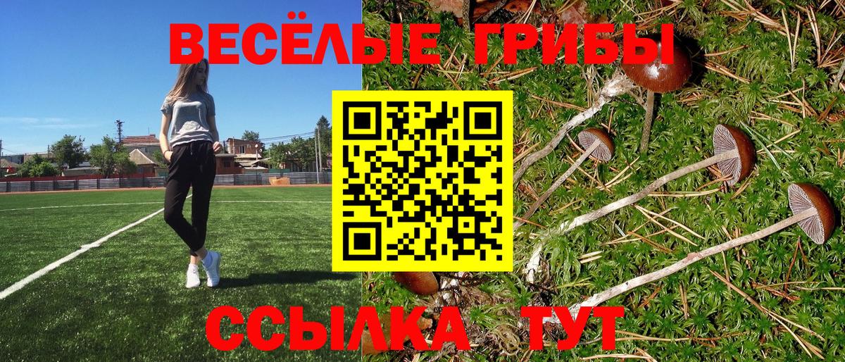 Галлюциногенные грибы Cubensis Чебоксары